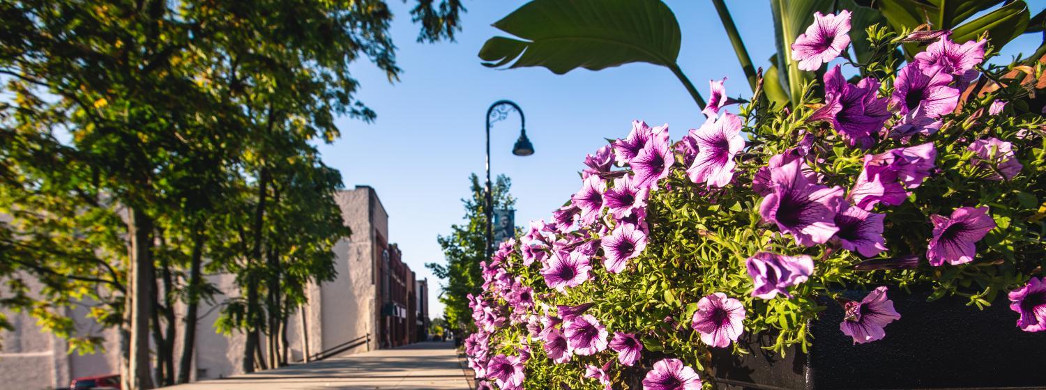 Front Street Flowers