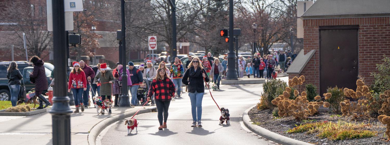 Walking Dogs